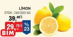 LİMON KG